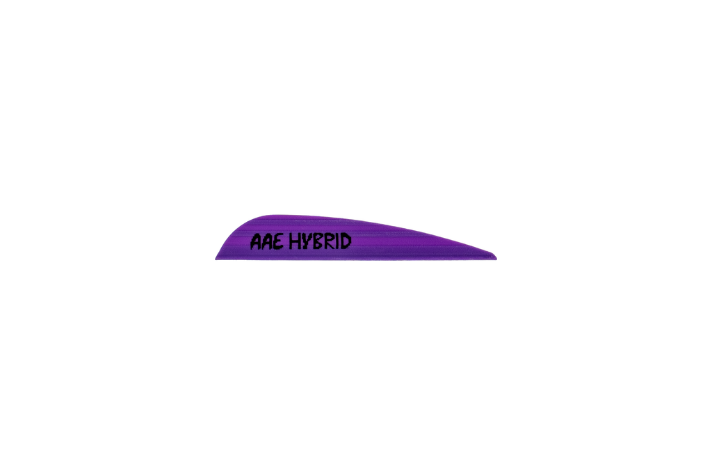 AAE Hybrid - 23