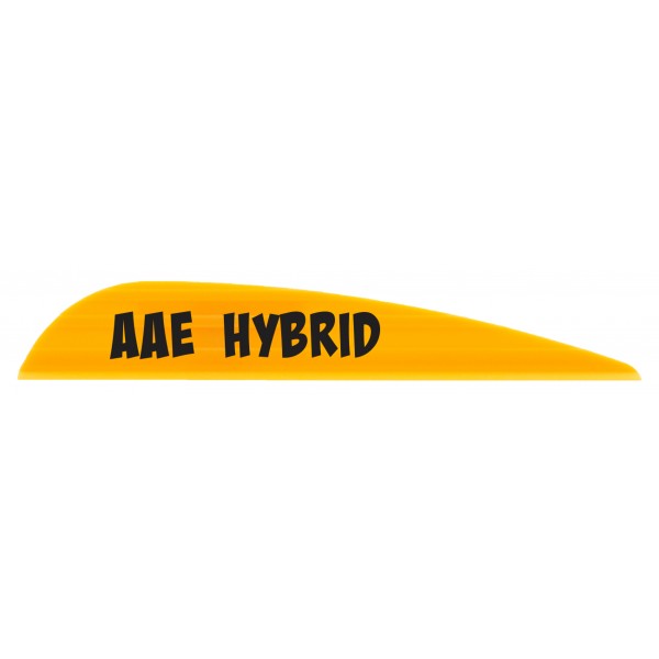 AAE Hybrid - 23