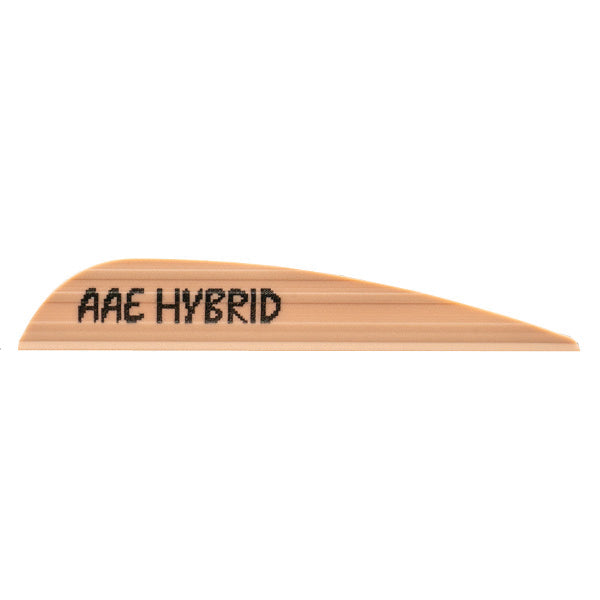 AAE Hybrid - 23